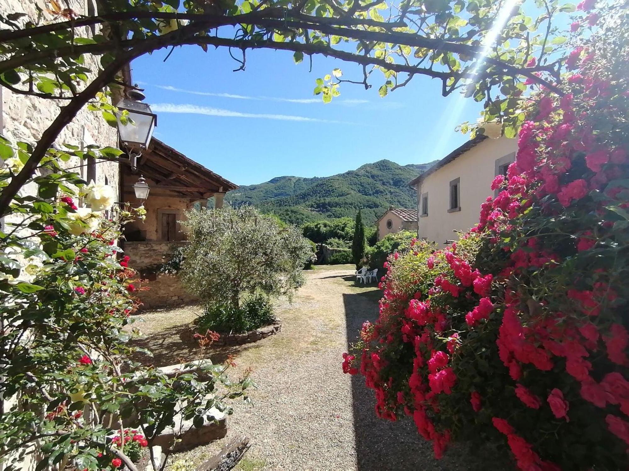 Comfy Home In San Godenzo With Lake Nearby Εξωτερικό φωτογραφία